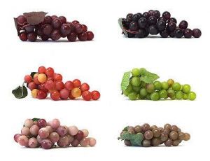 all for home and garden Decorative Fruit & Vegetables Artificial Grape Cluster 7-inch Plastic Decorative Grapes Fake Green Red