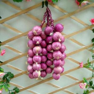 all for home and garden Decorative Fruit & Vegetables UK Artificial Onion Plastic Fake Vegetable Party Kitchen Decor Photography Props